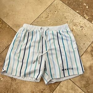 Men's Blue Striped Swim Shorts